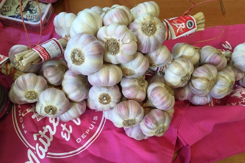 Aïl, aïl, aïl – alles Knoblauch (3 Rezepte für den rosa Knoblauch aus Lautrec)