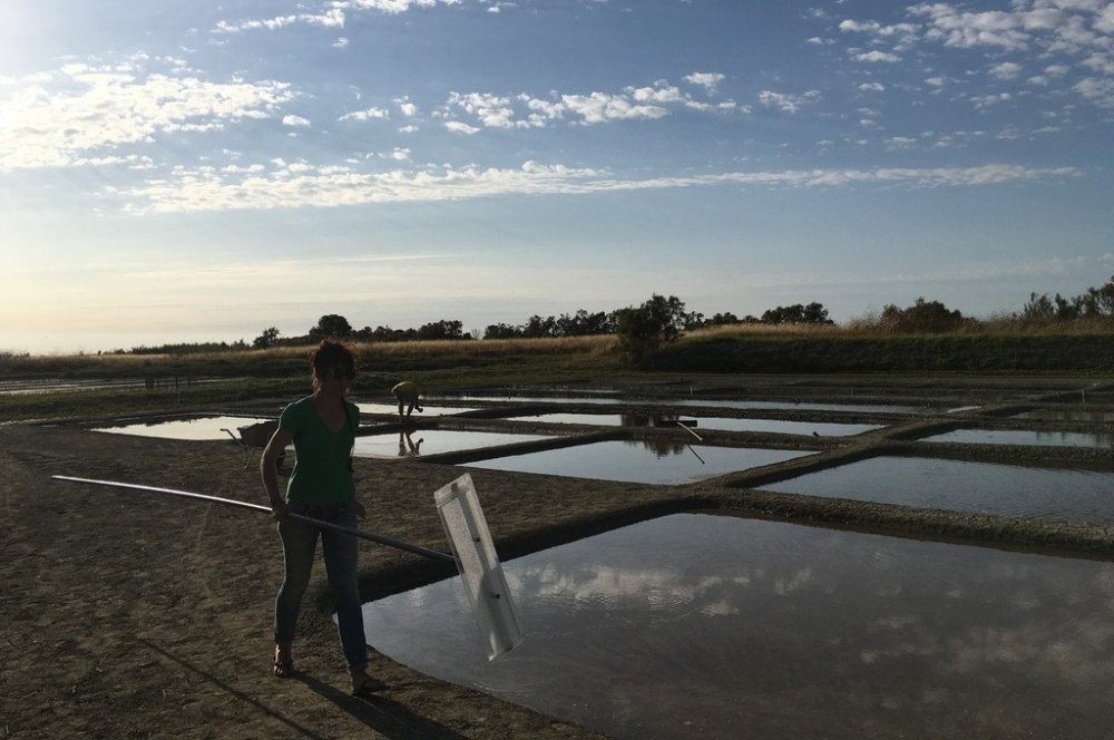 Auf der Spur der Salzblume – Erntedankfest mit Hindernissen - Maître Philippe & Filles