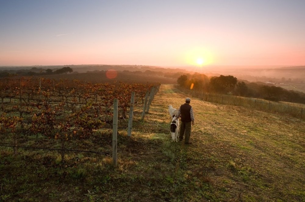 Der Kapitän und sein Weinberg: Die Herdade do Portocarro - Maître Philippe & Filles