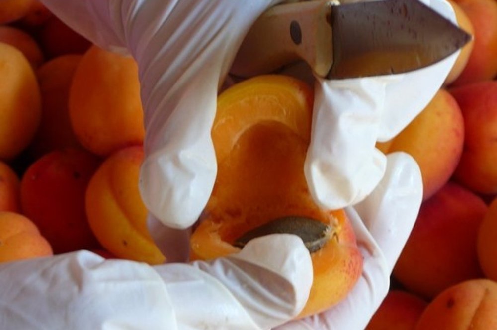 Neue Konfitüren aus Trinquelin - Maître Philippe & Filles