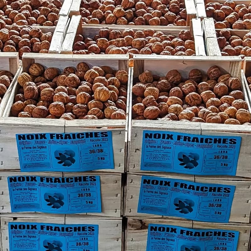 La Ferme des Signaux: Four Generations of Walnuts in the Isère Valley