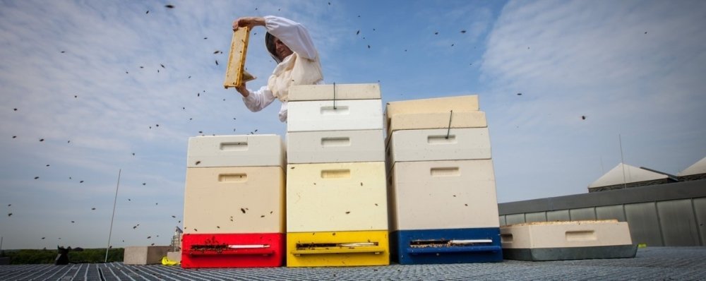 Verkostungen im Oktober 2019, wir feiern weiter! - Maître Philippe & Filles