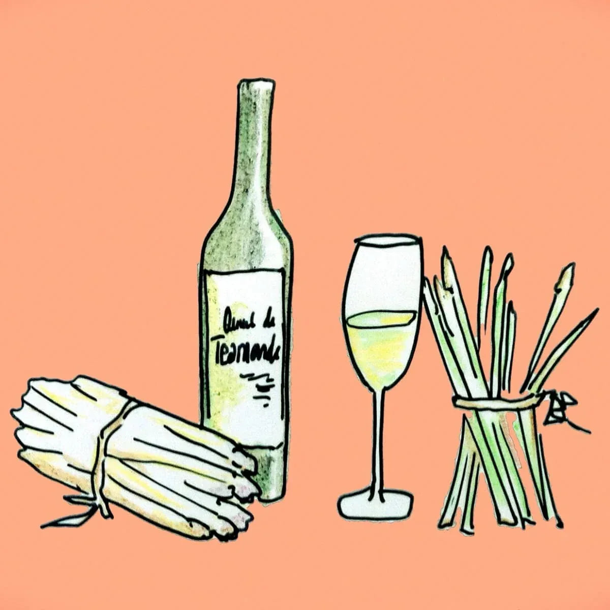 Spargelweine aus Portugal - Maître Philippe & Filles