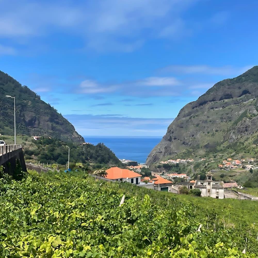 Rocim & Barbeito A Meias Verdelho na Ânfora 2020 - Barbeito - Maître Philippe & Filles