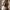 Pequenos Rebentos Vinho Verde 2025 Lote N°3 Marcio Lopes Winemaker