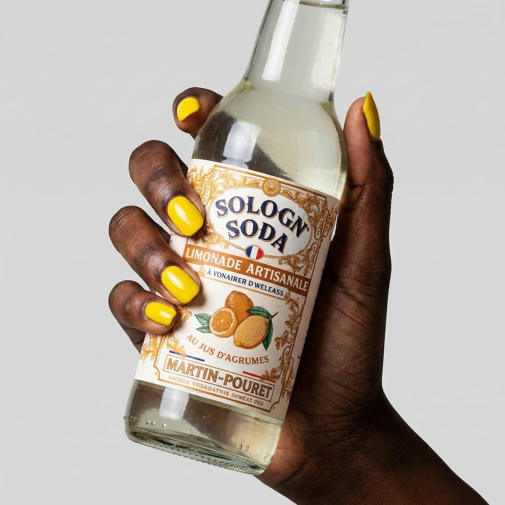 Limonade mit Zitrusfrüchteessig 33cl - Martin Pouret - Maître Philippe & Filles