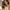 Chardonnay 2025 - L'instant Domaine Berthier
