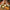 Seminar Käse Wein Maitre Philippe
