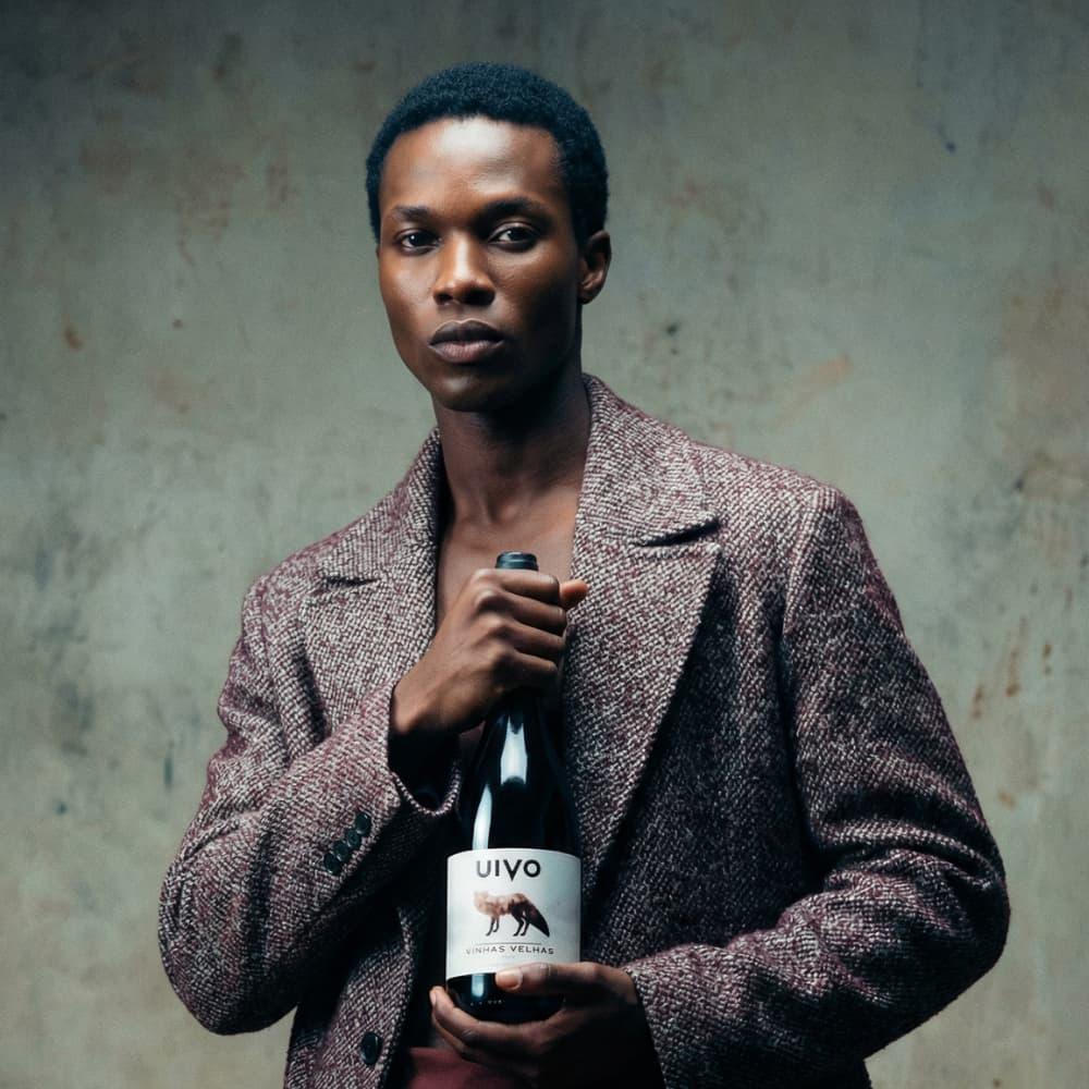 Vinhas Velhas 2019 Tinto - Douro - Portugal - Folias de Baco - Maître Philippe & Filles