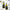 Chardonnay 2025 - L'instant Domaine Berthier