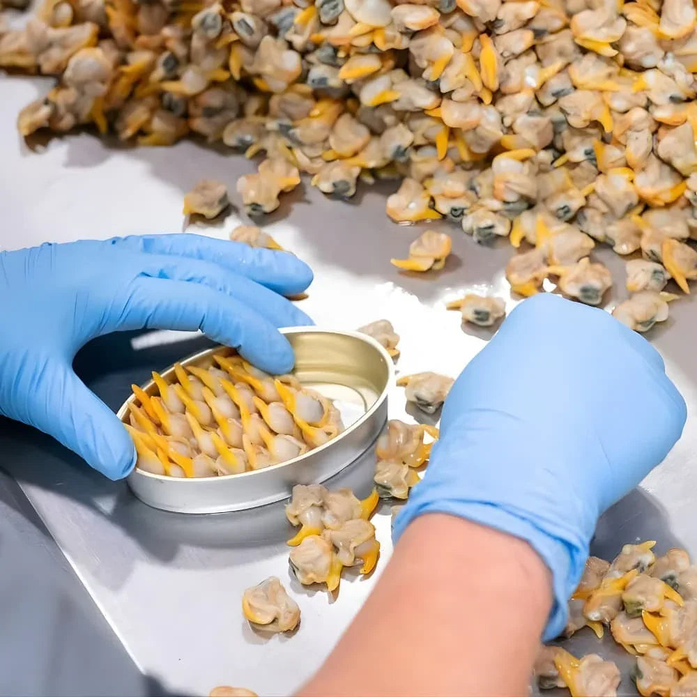 Berberechos al Natural de las Rías Gallegas (Galicische Herzmuscheln im eigenen Saft) Real Conservera Española