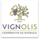 Vignolis