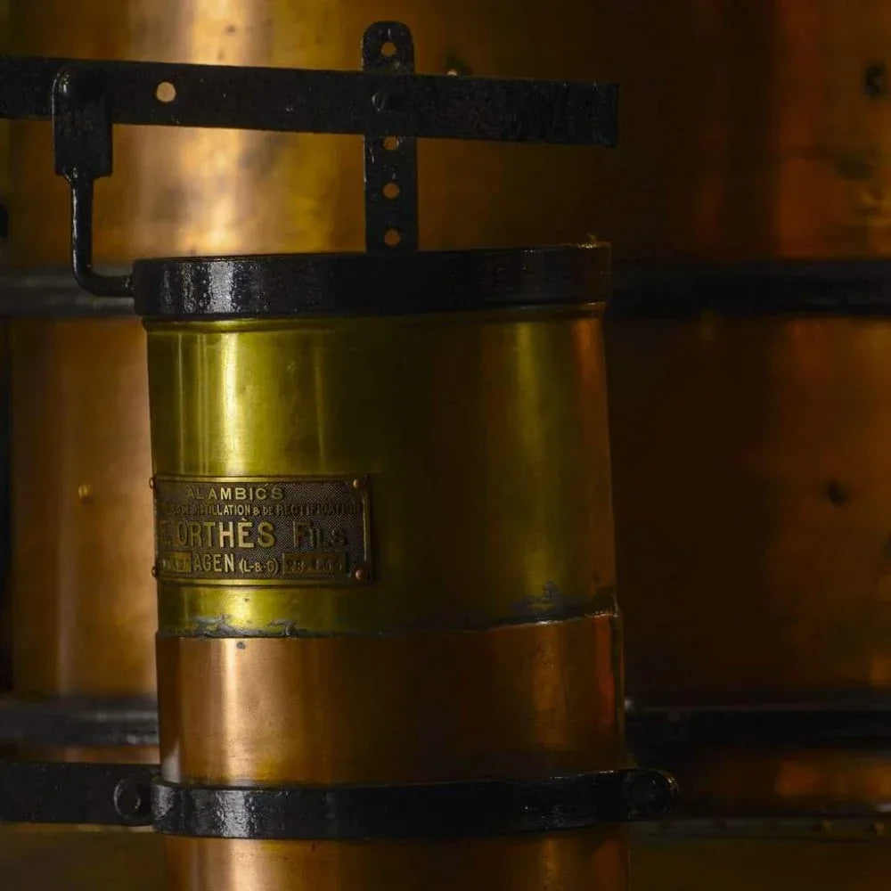 Armagnac „Dry Cellar” 43,4% - Famille Dartigalongue - Maître Philippe & Filles