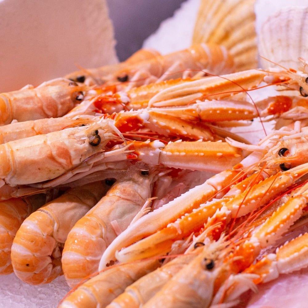 Bretonische Kaisergranat-Cremesuppe - La Pointe de Penmarch - Maître Philippe & Filles