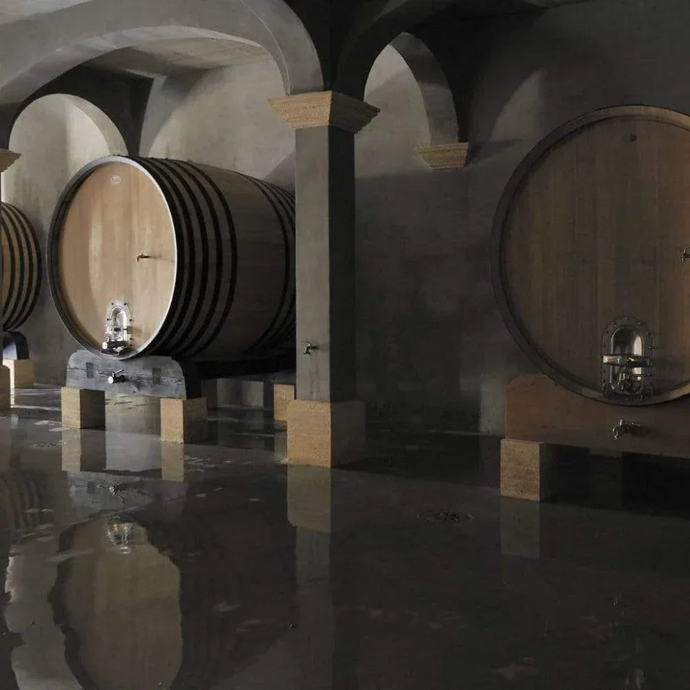 Châteauneuf-du-Pape Blanc 2019 - Cuvée Tradition - La Célestière - Maître Philippe & Filles