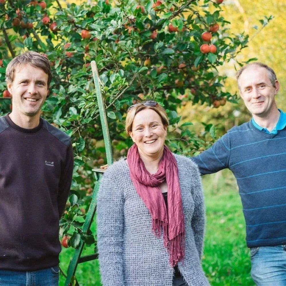 Cidre Kerné Artisanal (Brut) - Cidrerie Kerné - Maître Philippe & Filles