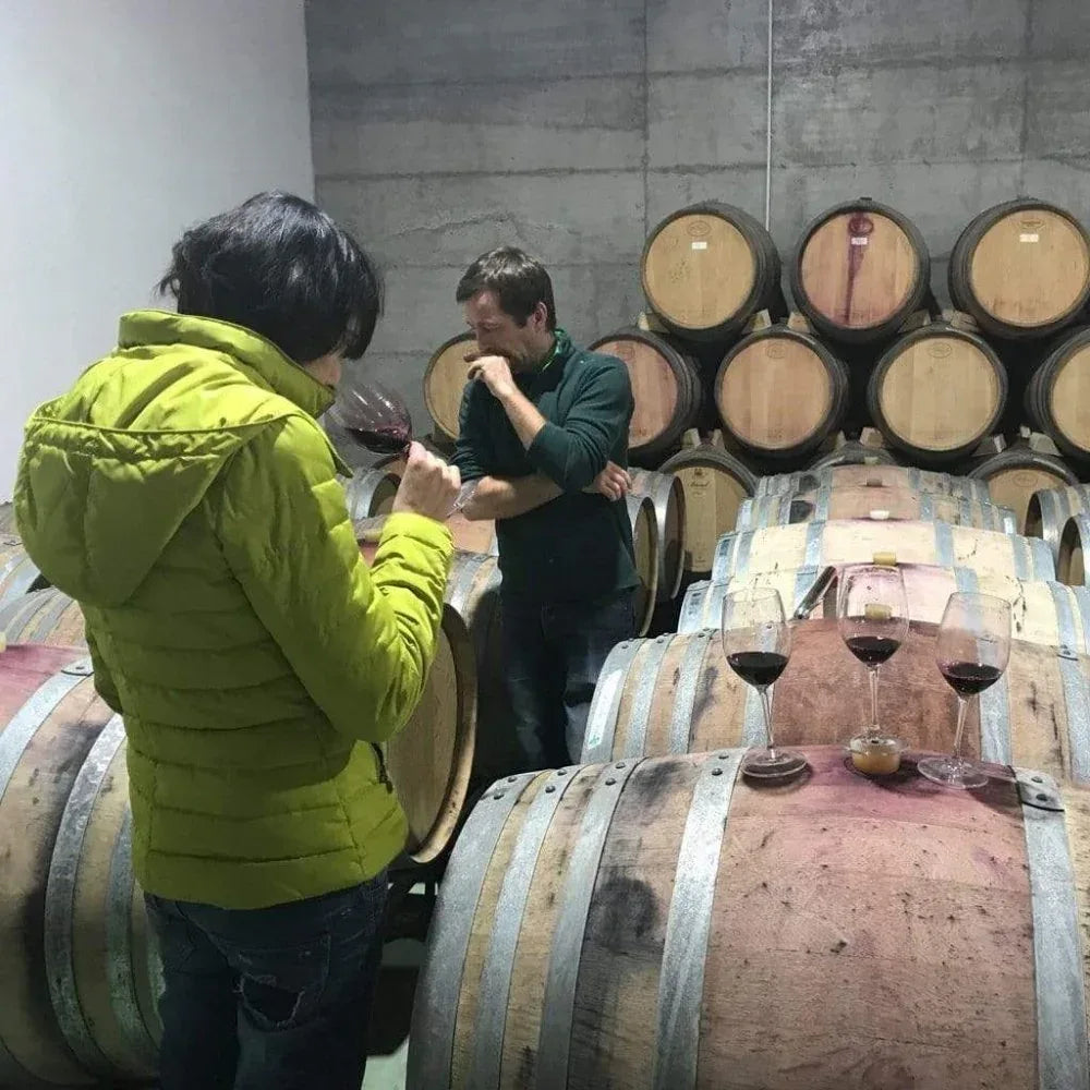 Conceito Tinto 2019 - Douro - Conceito Vinhos - Maître Philippe & Filles