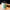 Cremige Senf-Mayonnaise aus Orléans mit Cornichons Martin Pouret