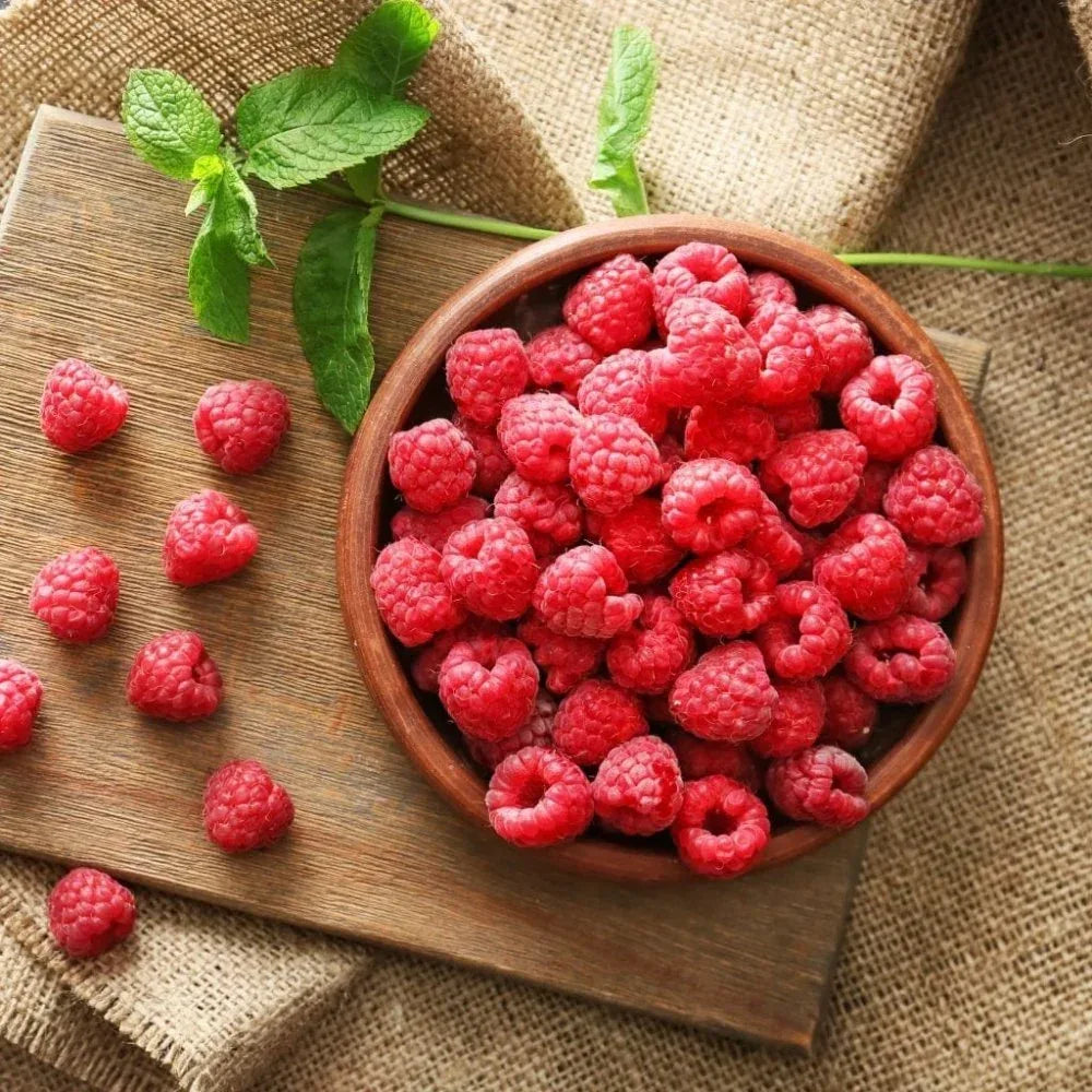 Eau de Vie de Framboise 45% Briottet - Maison Briottet - Maître Philippe & Filles