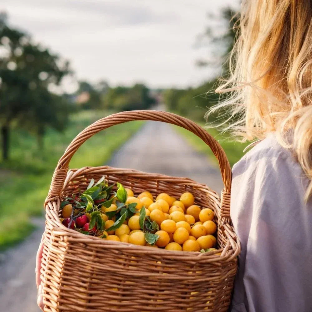Eau de Vie de Mirabelle - Maison Briottet - Maître Philippe & Filles