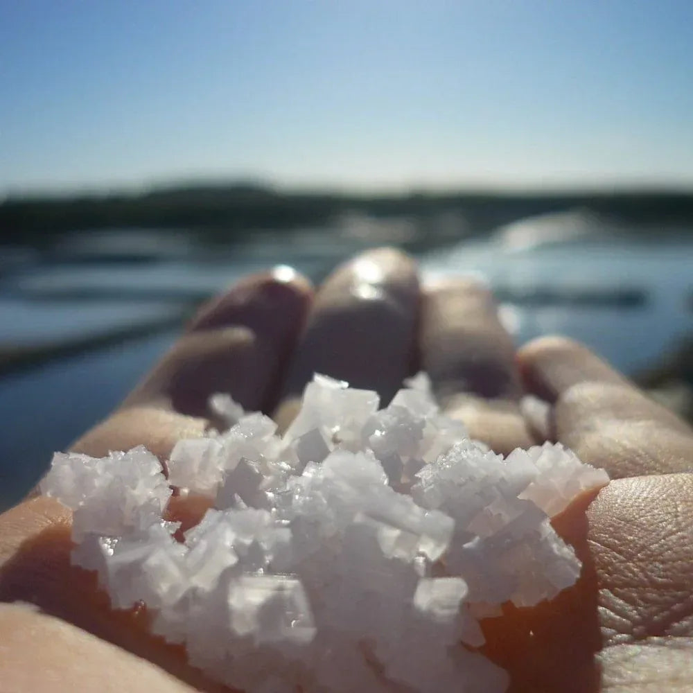 Fleur de Sel de Guérande mit Korkdeckel - Atelier du Sel- Morel et Le Chantoux - Maître Philippe & Filles