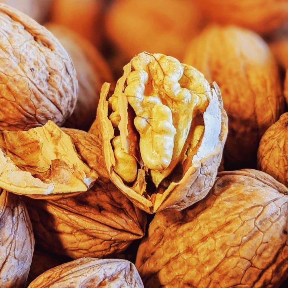 Grenobler Walnüsse Ernte 2025 Kaliber 30/32mm - La Ferme des Signaux - Maître Philippe & Filles