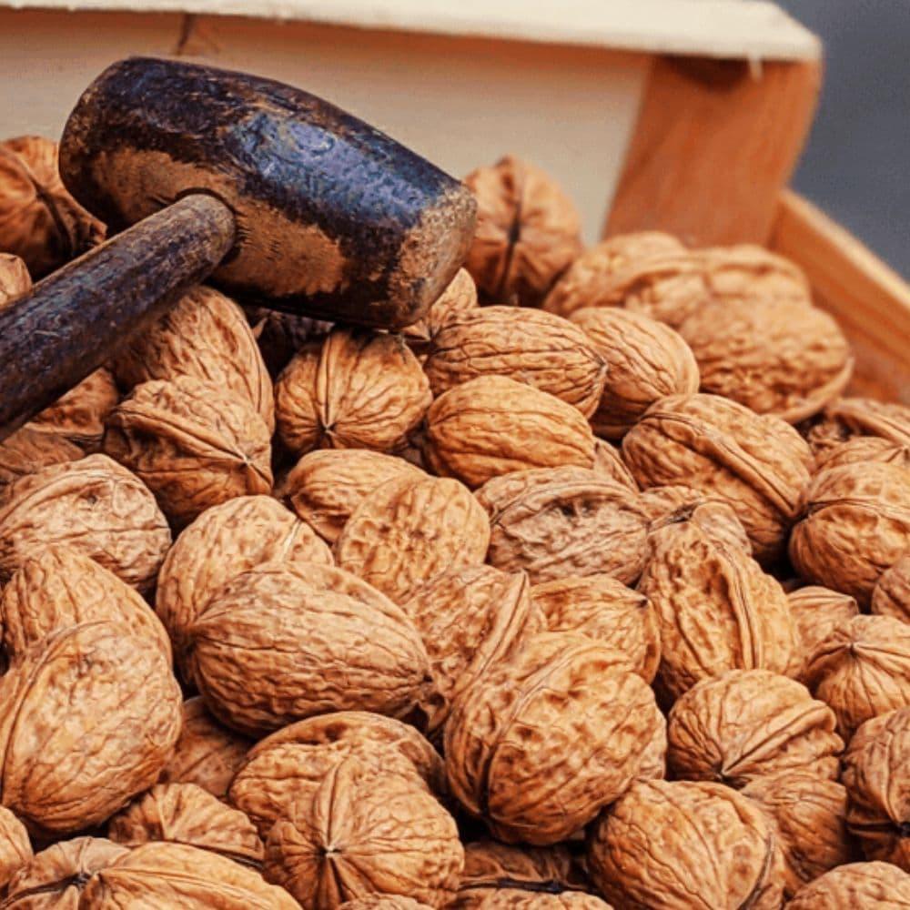 Grenobler Walnüsse Ernte 2025 Kaliber 30/32mm - La Ferme des Signaux - Maître Philippe & Filles