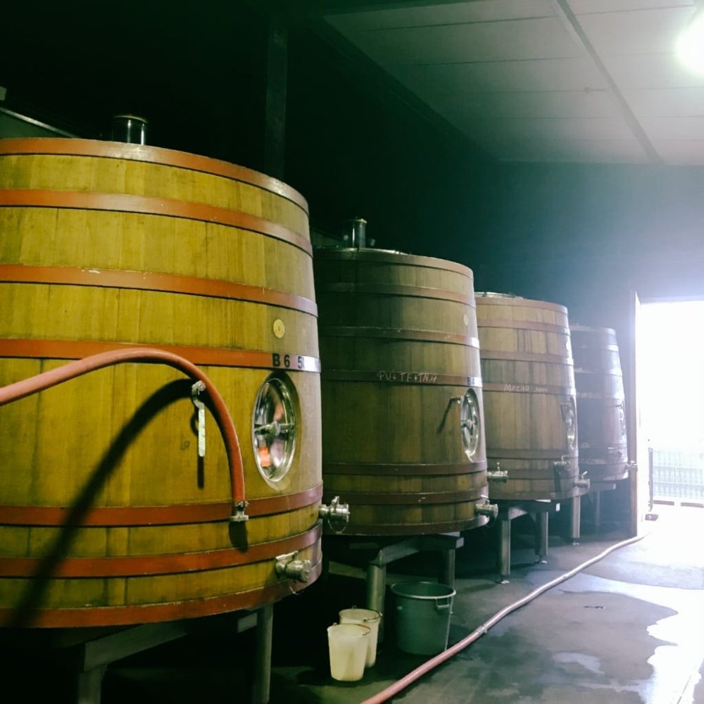 Herdade do Portocarro - Herdade do Portacarro