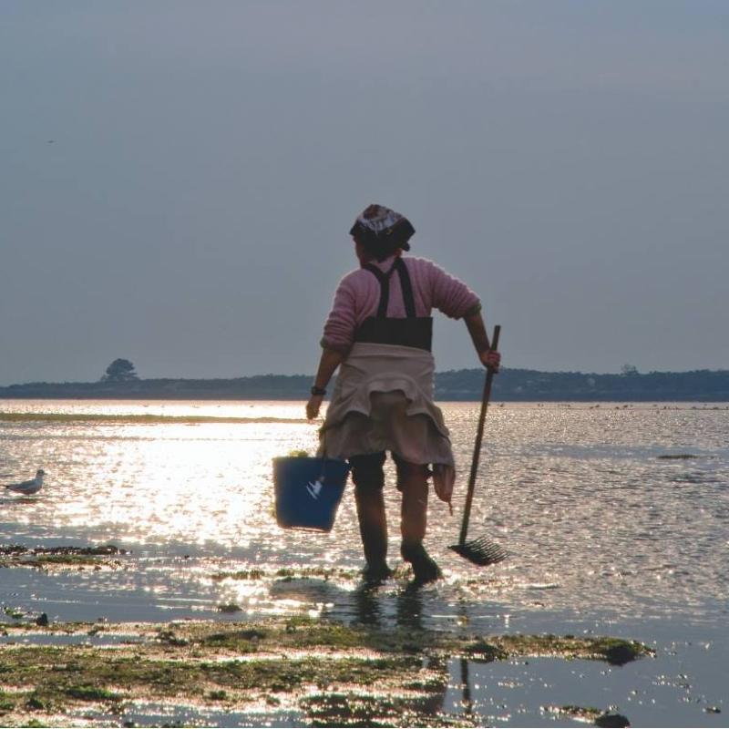 Kammmuscheln in Sauce-Vieira - Ramon Pena - Maître Philippe & Filles