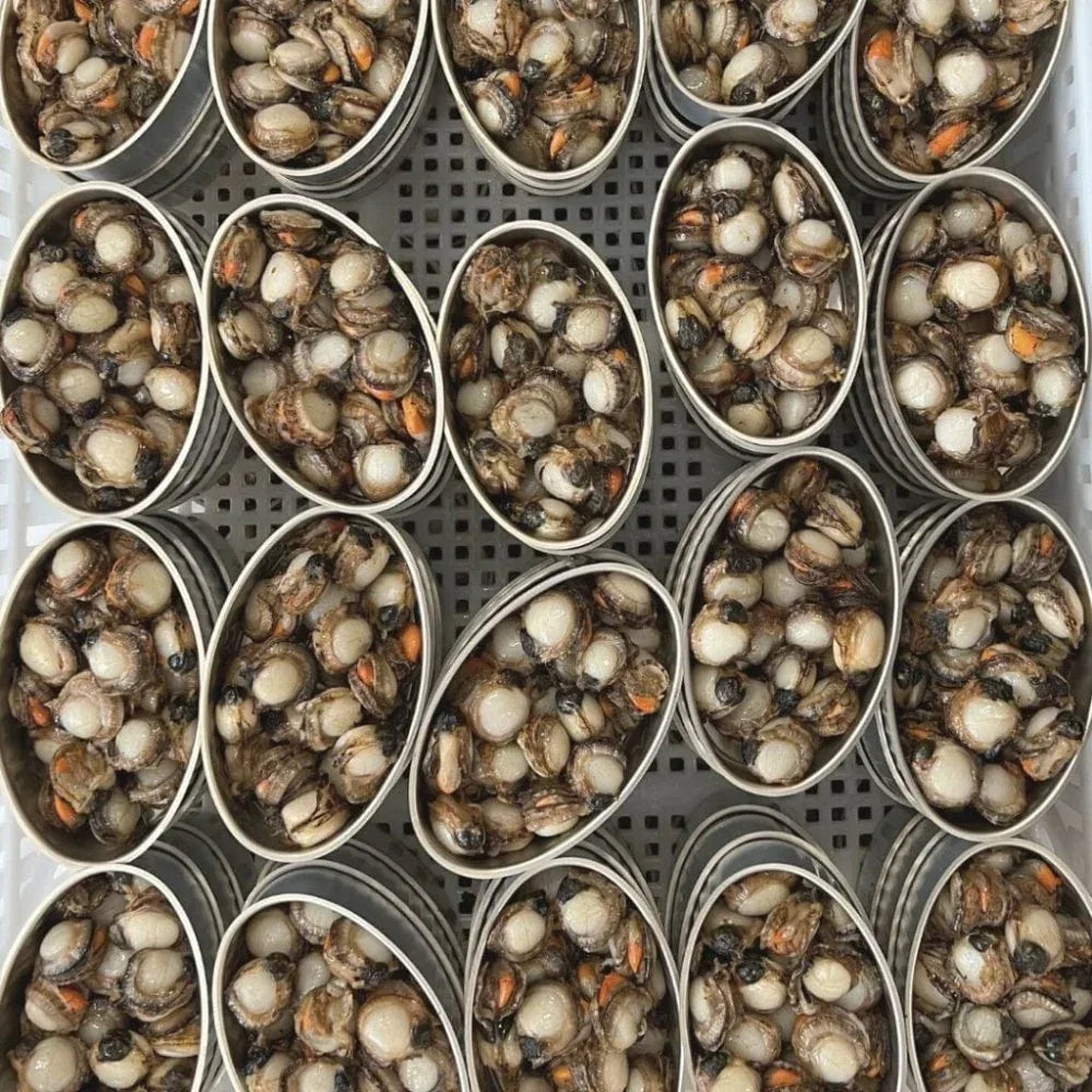 Kammmuscheln in Sauce-Vieira - Ramon Pena - Maître Philippe & Filles