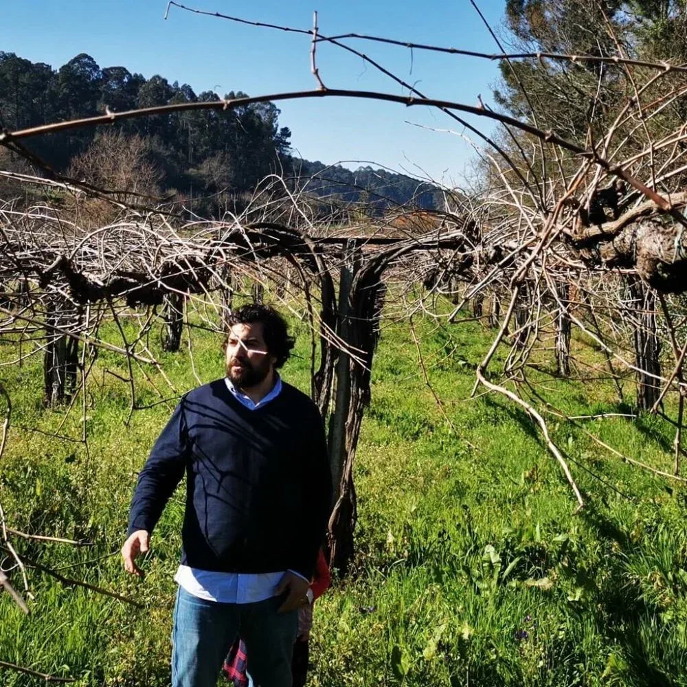 Pet Nat Ancestral 2023 Loureiro (no SO2) - Marcio Lopes Winemaker - Maître Philippe & Filles